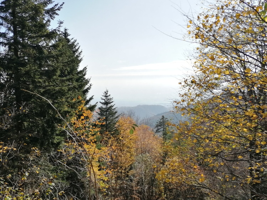 Medvednica mountain (Sljeme)景点图片