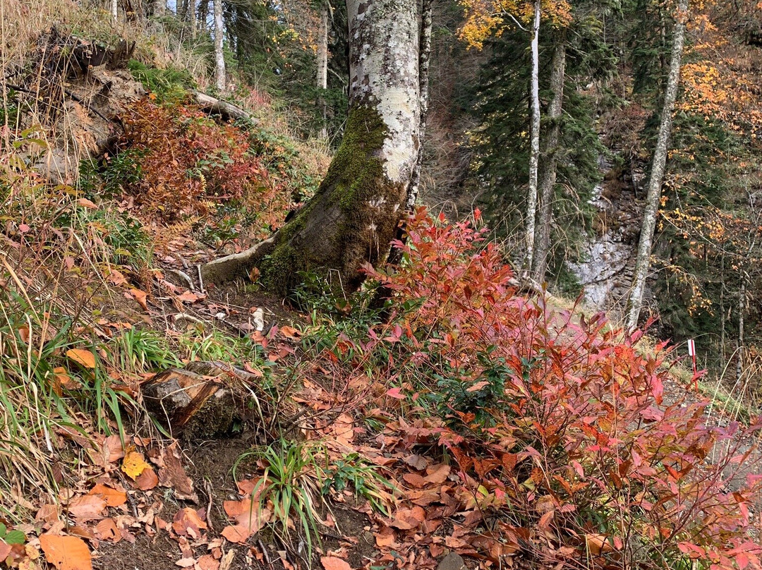 Park of Waterfalls Mendelikha-Esto-Sadok必去景点