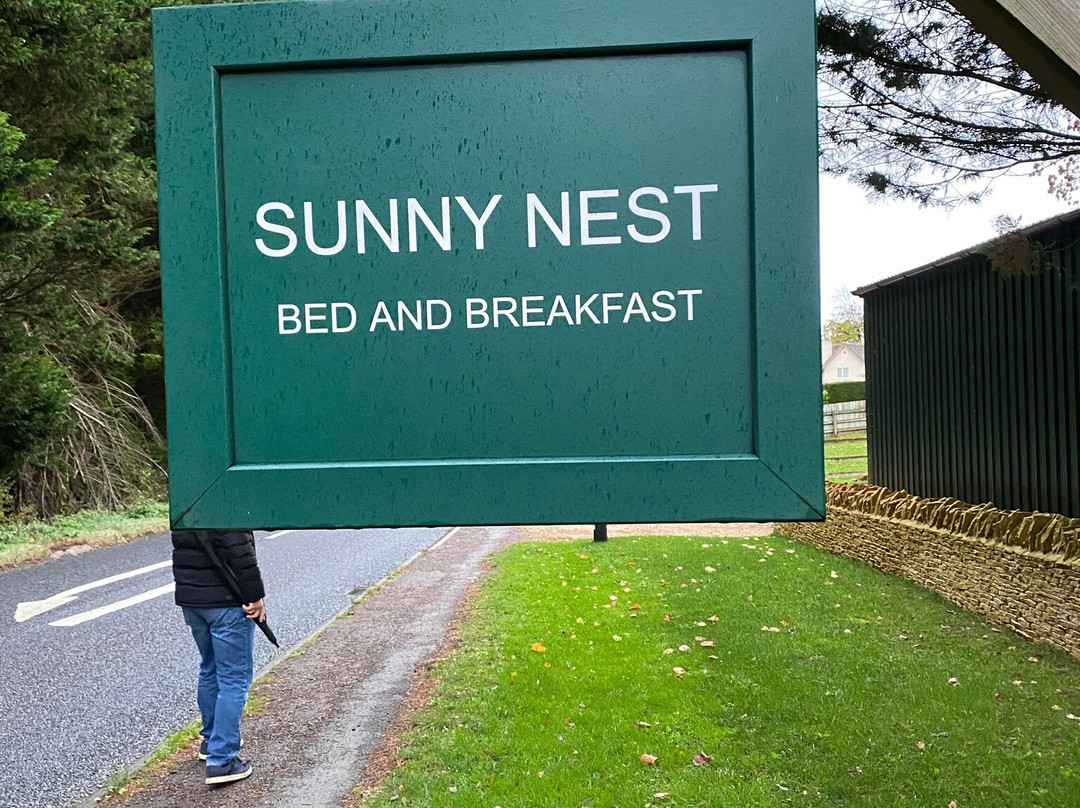 Sunny Nest主图