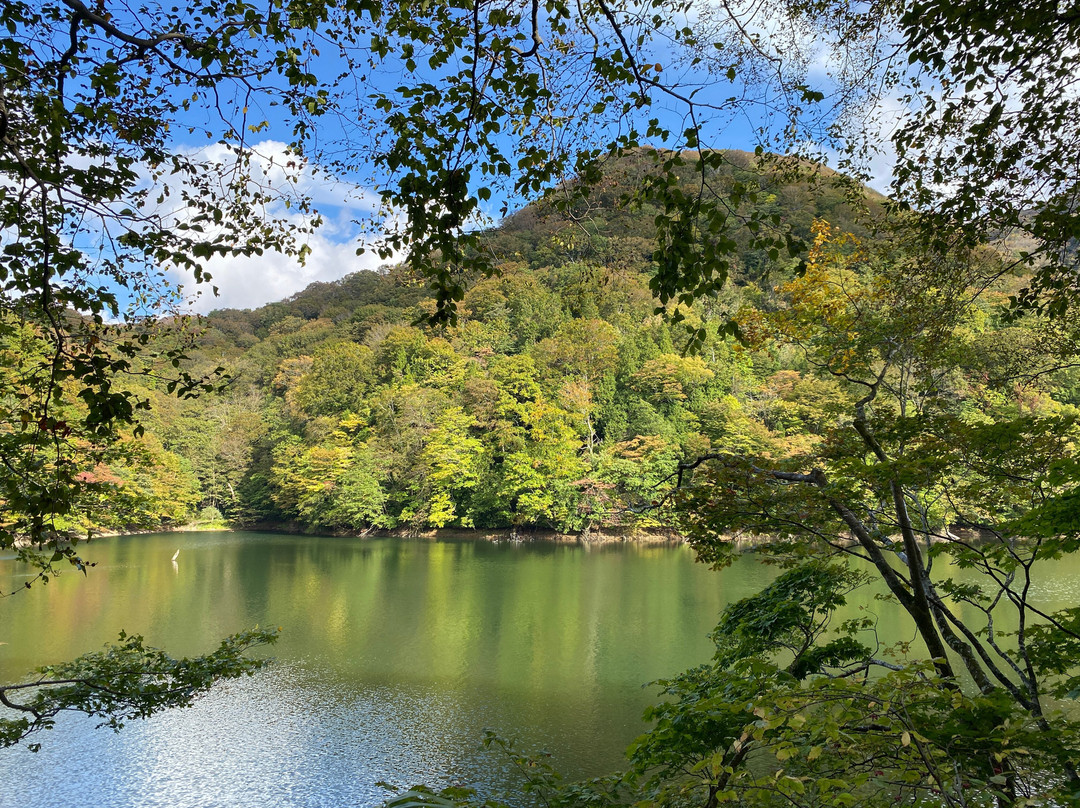 Lake Juniko景点图片