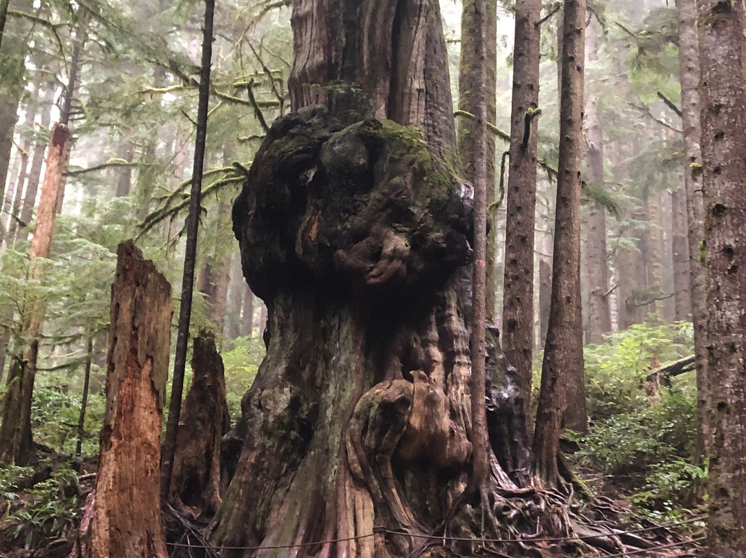 Explore Vancouver Island-纳奈莫必去景点