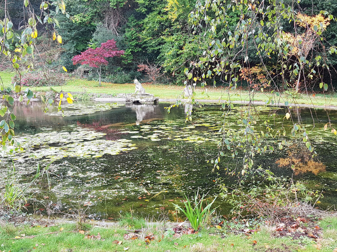 Cliffden Hotel主图