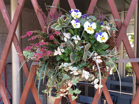 Greenpia Kasugai-春日井市必去景点