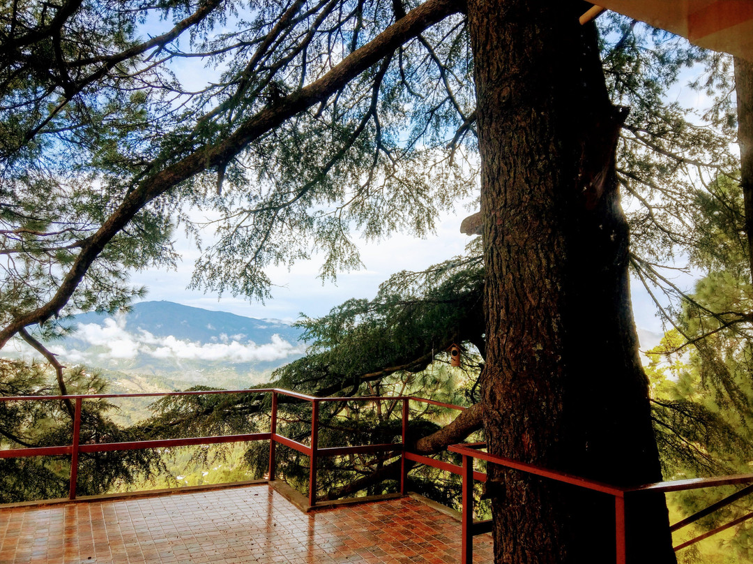 Treehouse Chaukhamba Estate
