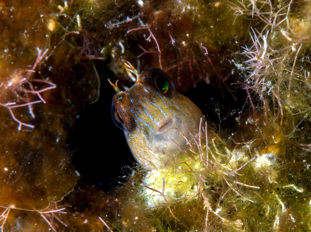 Gozo Aqua Sports-Marsalforn必去景点