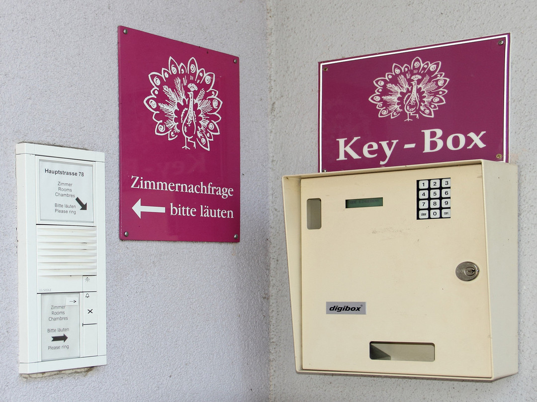 Hotel Pfauen Garni主图