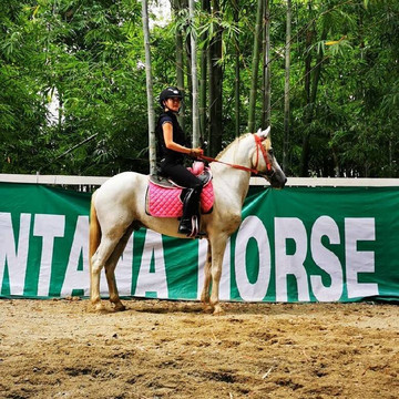 Montana Horse Riding-清迈必去景点