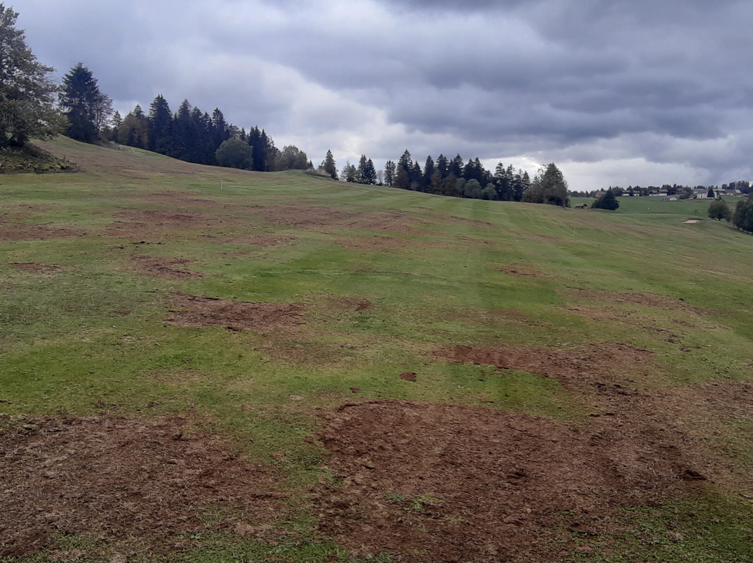 Golf du Mont Saint-Jean景点图片