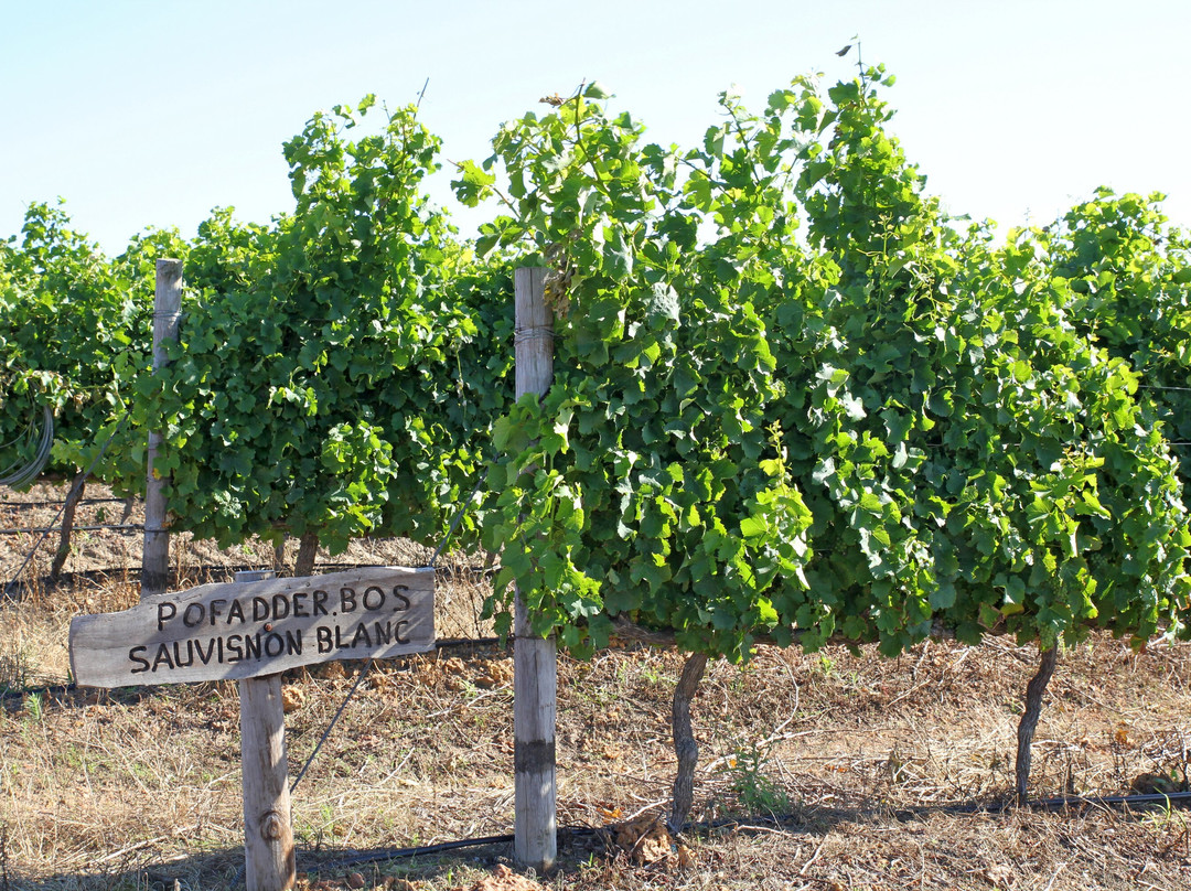 Strandveld Vineyards-Elim必去景点