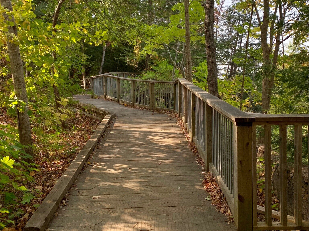 McMaster Mill Historic Park景点图片