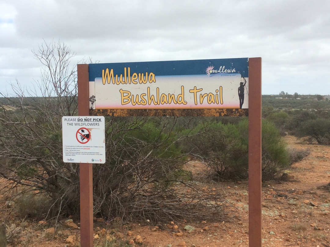 Mullewa Scenic Lookout-Mullewa必去景点