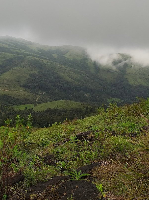 Kyatanamakki Hill Station景点图片