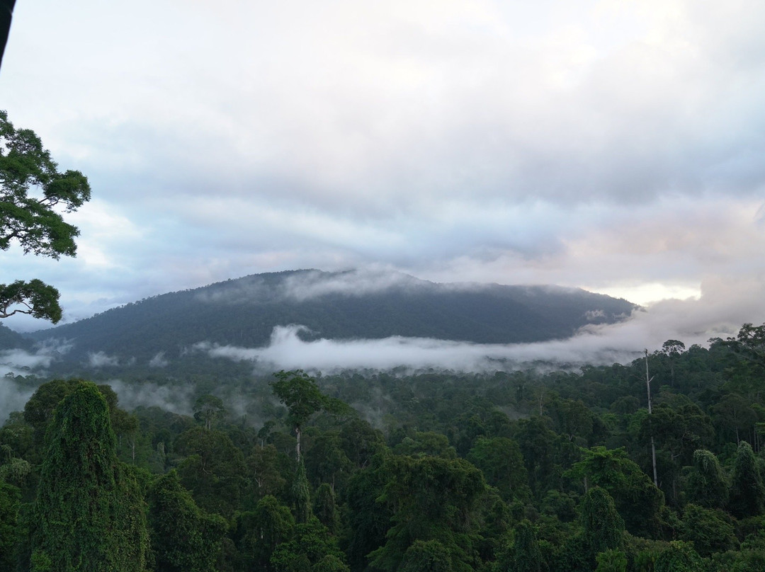 Maliau Basin Conservation Area-斗湖必去景点
