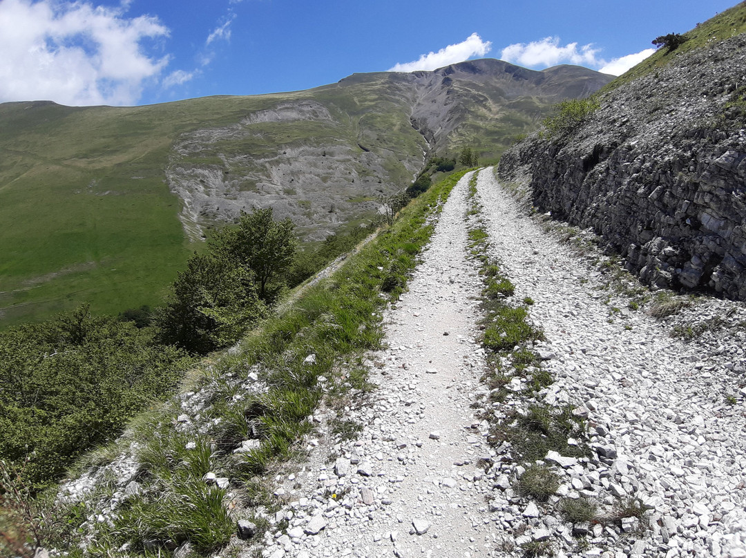 Monte Vettore景点图片