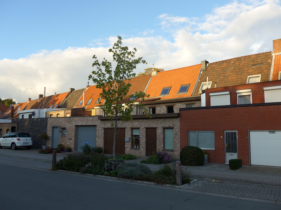 Begijnhof景点图片