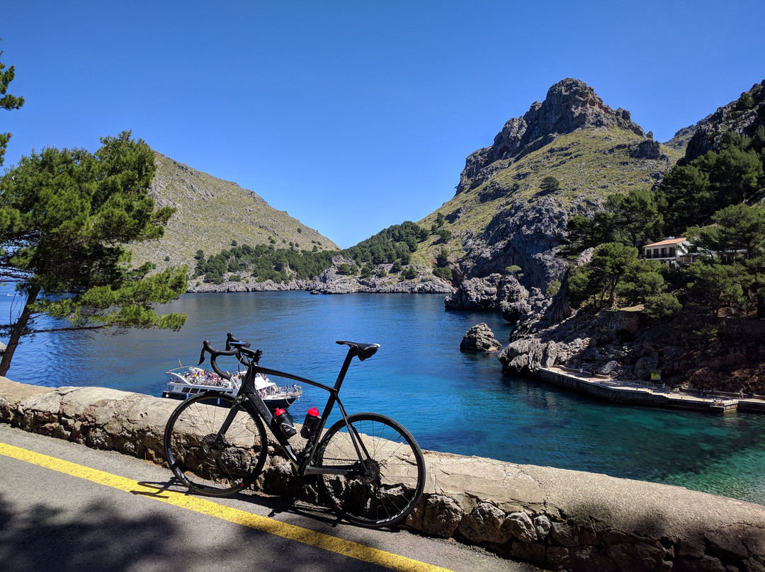 Clips Mallorca Cycling | bike rental Can Pastilla-坎帕斯蒂利亚必去景点