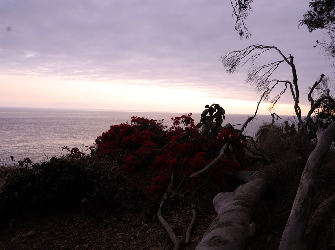 Douglas Family Preserve-圣巴巴拉必去景点