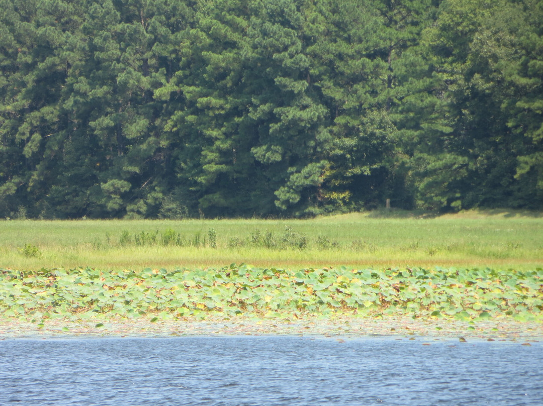 Martin Creek Lake State Park景点图片