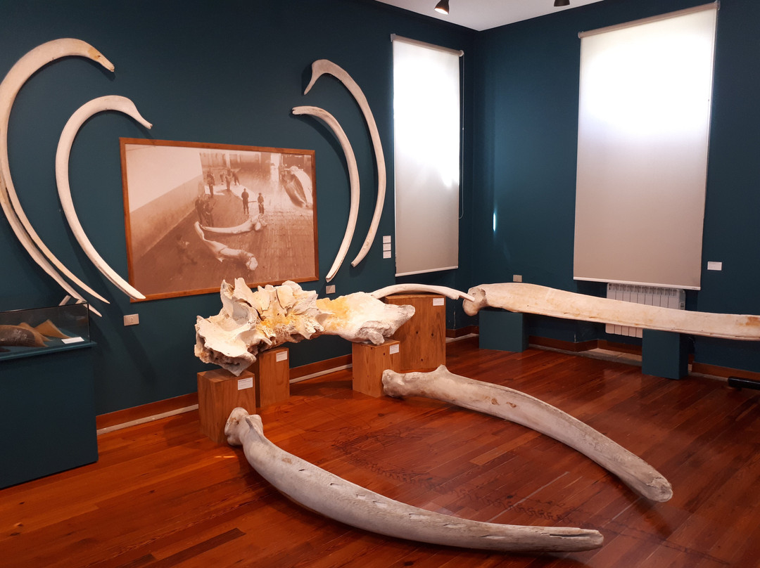 Museo Provincial do Mar-San Cibrao必去景点