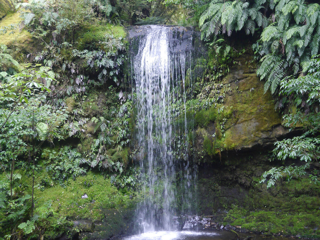 Koropuku Falls景点图片