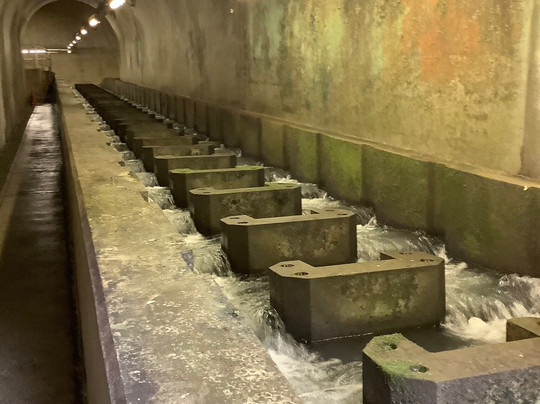 Shiromaru Chosei-chi Dam-奥多摩町必去景点