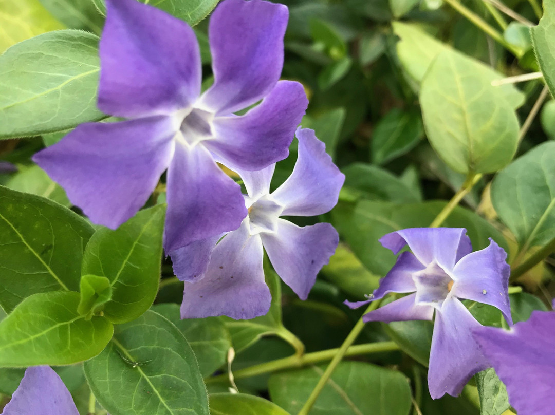 Victory Park-特拉拉尔根必去景点