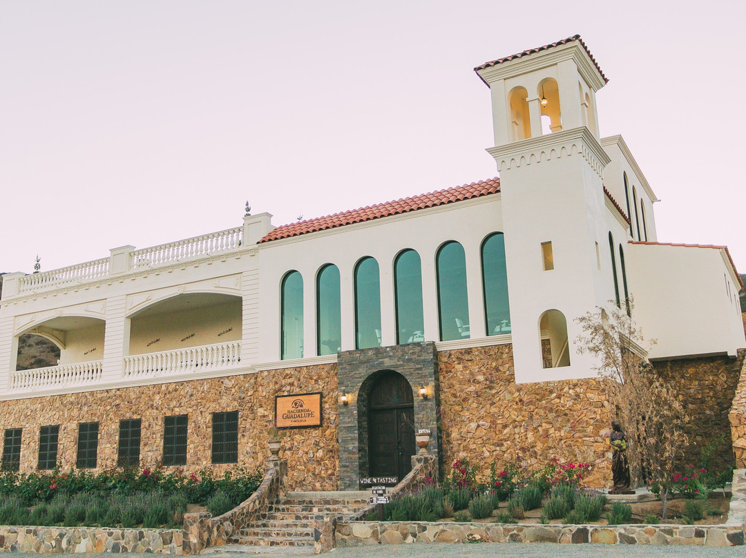 Hacienda Guadalupe Vinícola景点图片