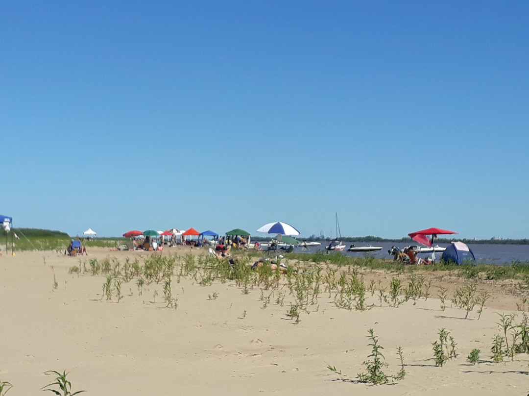 Nuevo Hotel Belgrano主图