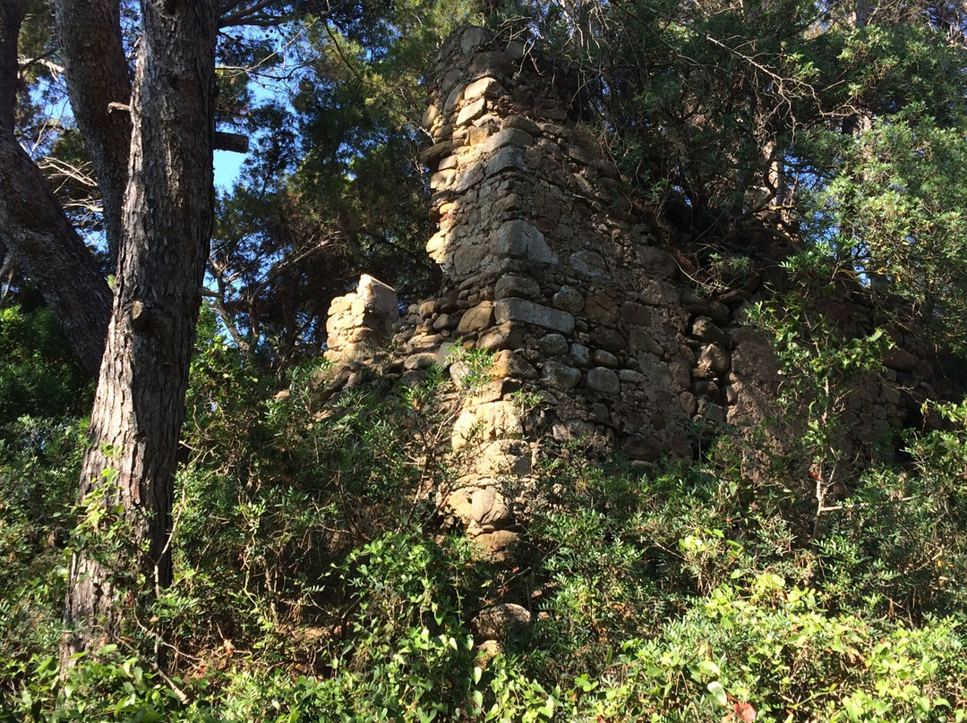 Torri Costiere di Castellabate景点图片
