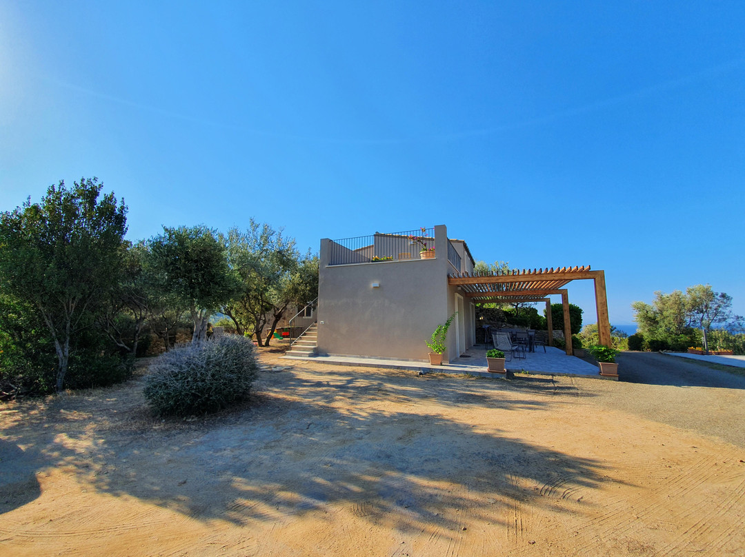 Sa Guardia de Ferricci主图