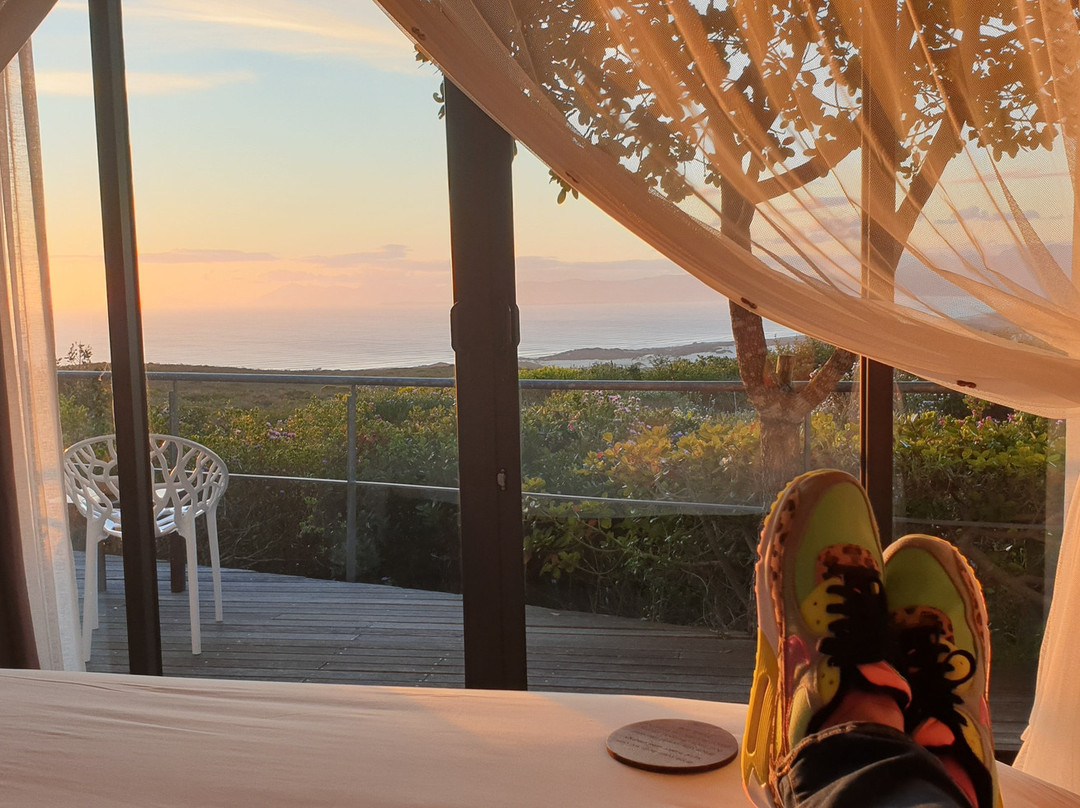 大森林私人自然保护区酒店主图