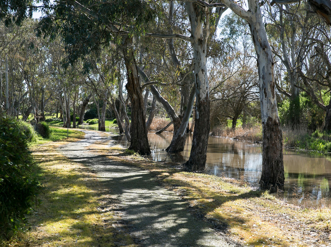 Naracoorte Creek walk-Naracoorte必去景点