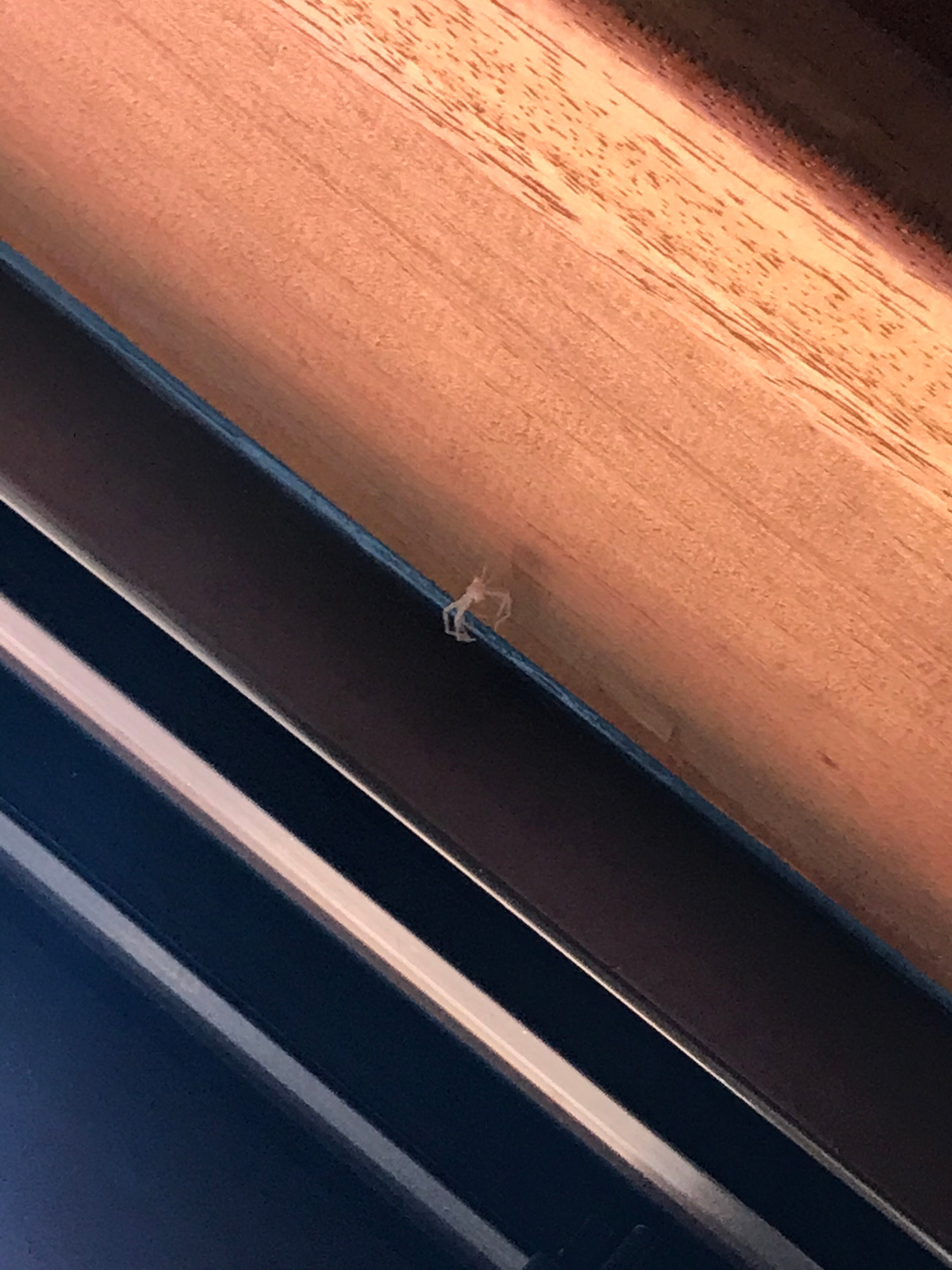 Hotel Montsant-portrait