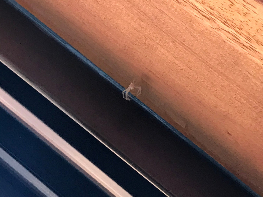 Hotel Montsant主图