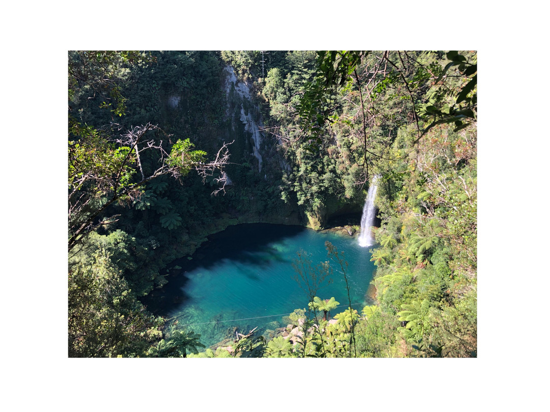 Omanawa Falls景点图片