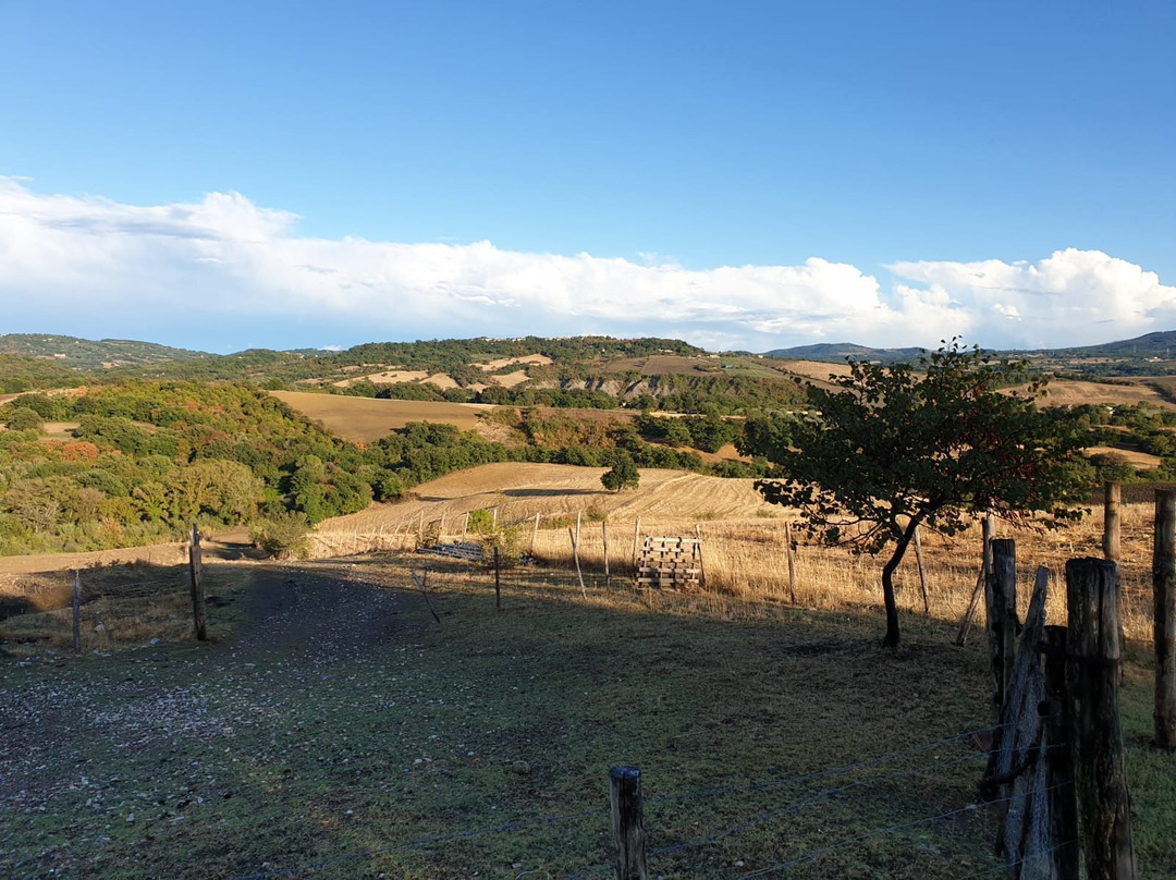 Agriturismo Poggio Mario主图