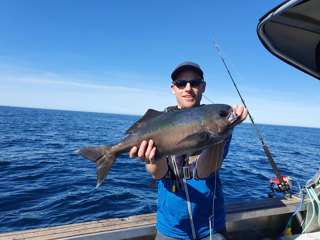 The Rodfather Fishing Charters-Kaikoura必去景点