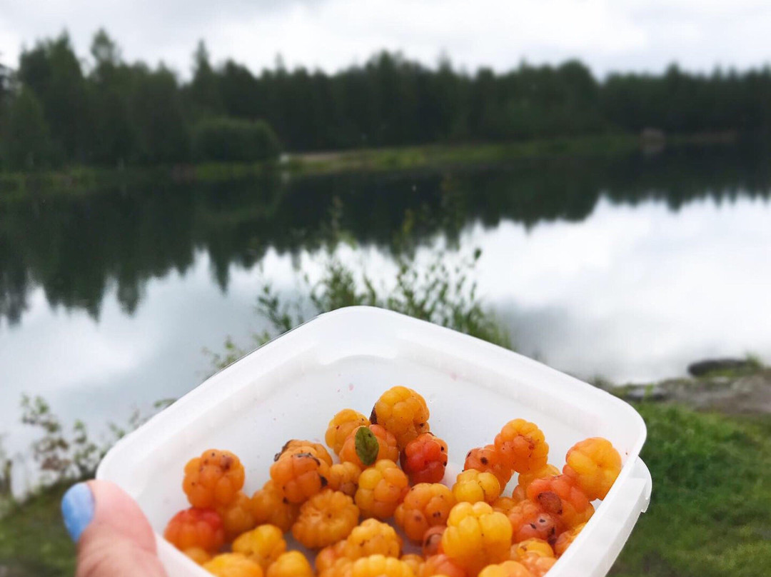 Laihia旅游攻略图片