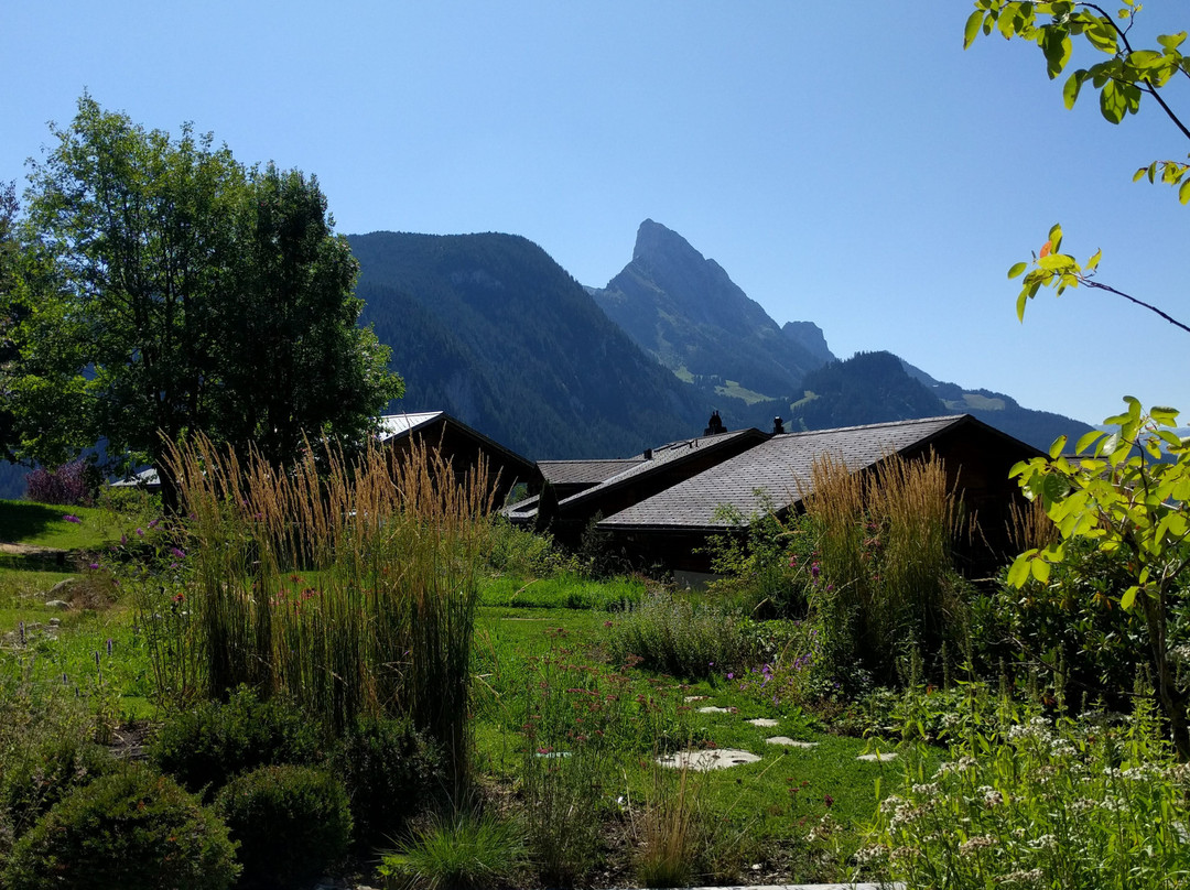 HUUS Gstaad Hotel主图