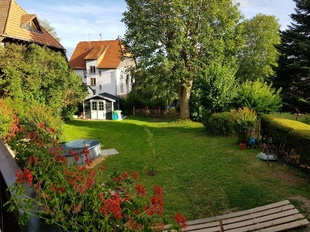 Hotel Hochfirst Garni主图