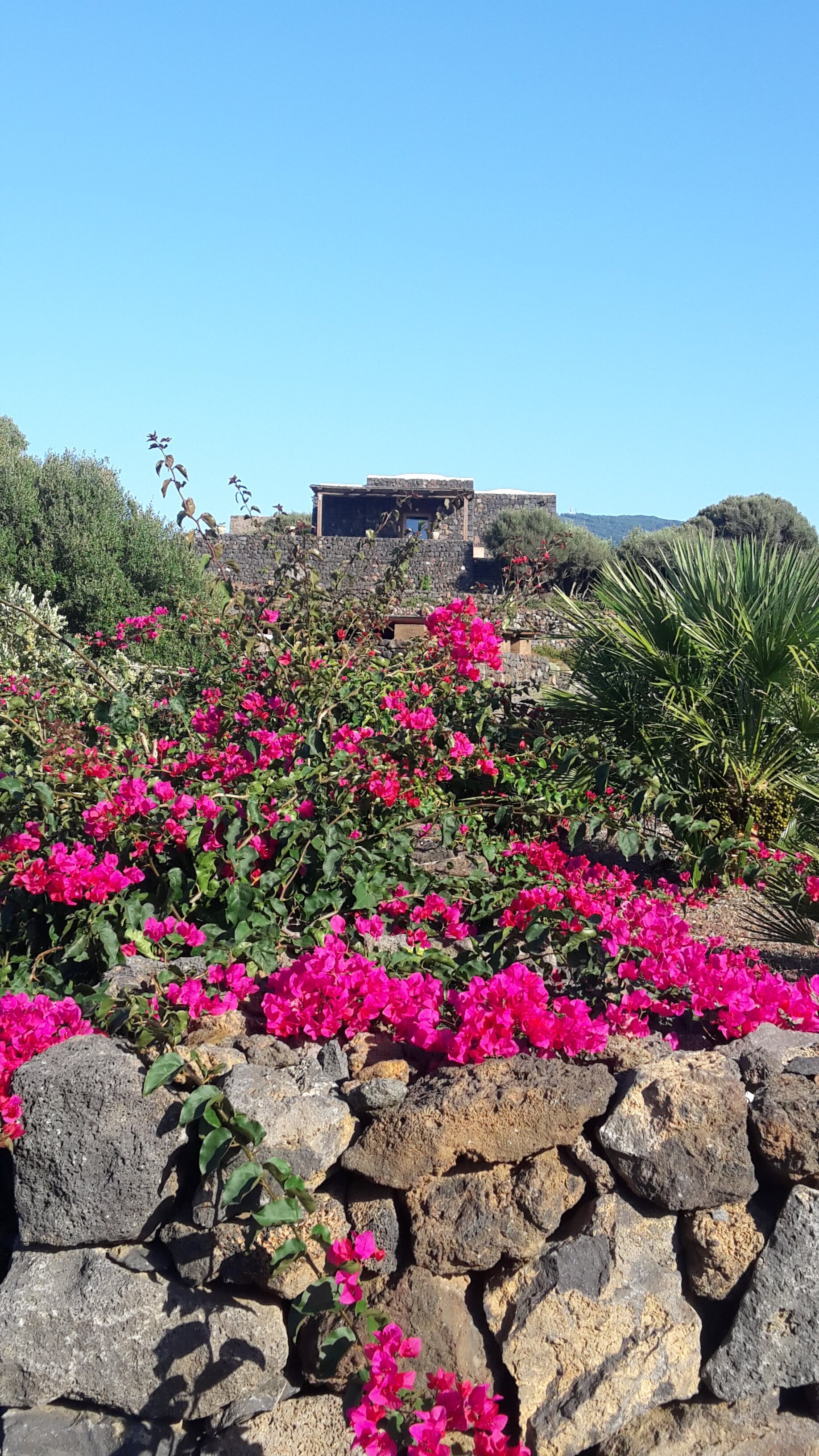 Dammusi Al-Qubba Wellness & Resort-浴室