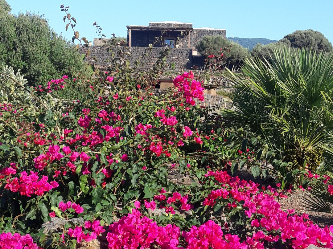 Dammusi Al-Qubba Wellness & Resort主图