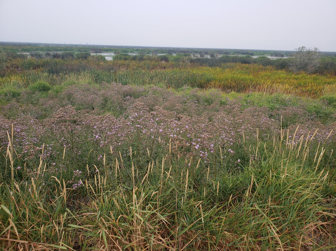 Wood River Wetland-克拉马斯福尔斯必去景点