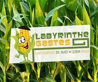 Corn Maze, Labyrinthe De Mais景点图片