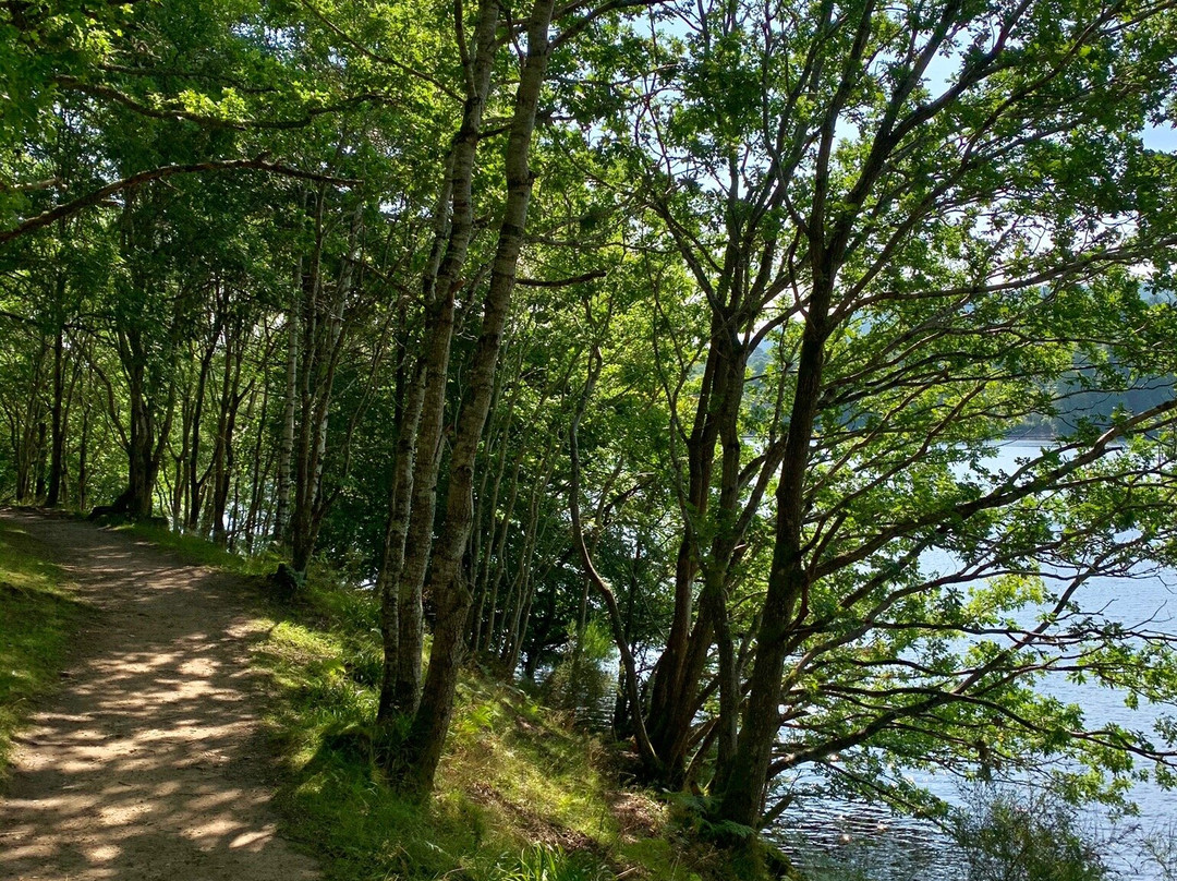 Pitlochry Visitscotland Icentre-皮特洛赫里必去景点