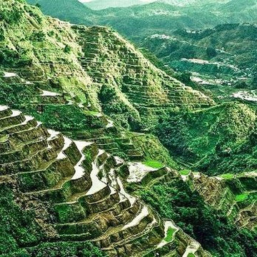 The Manila Driver Guide