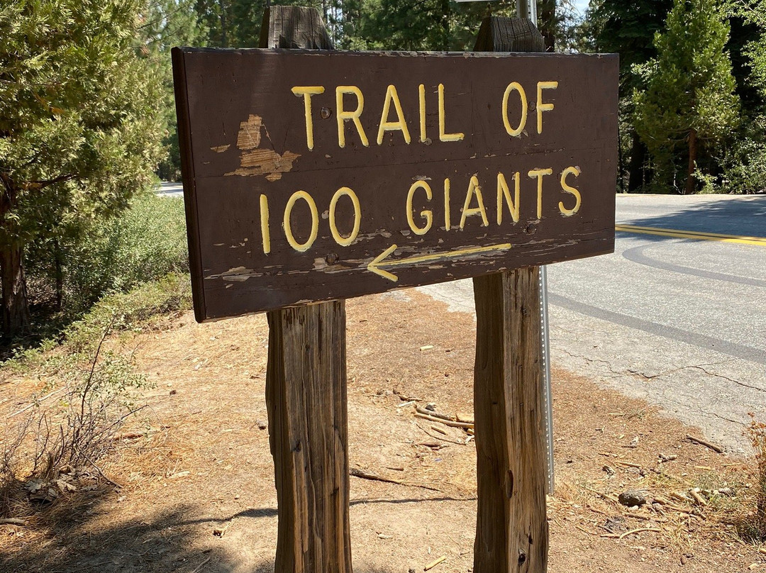 Trail of 100 Giants-波特维尔必去景点