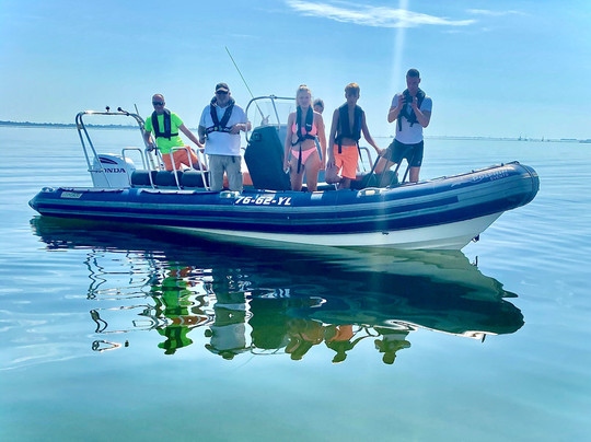 Dolphin Events-鹿特丹必去景点