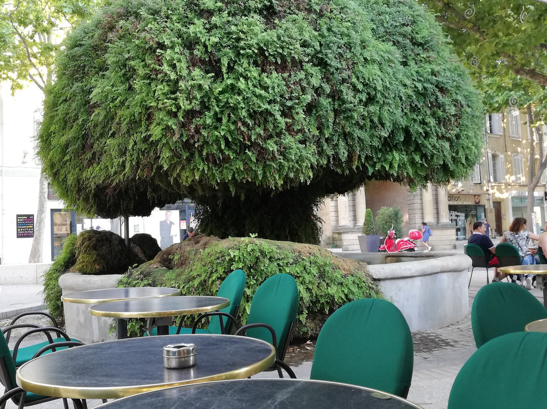 Fontaine Moussue景点图片