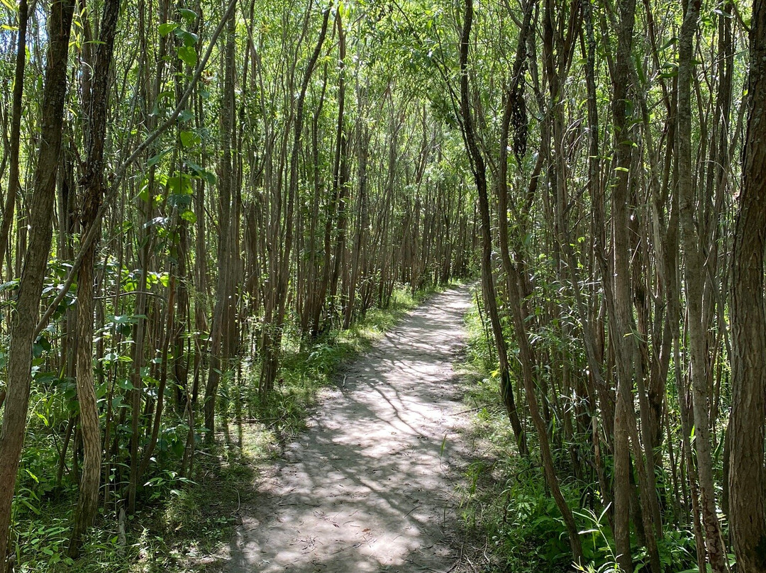 Reserve Naturelle De Pointe-Yamachiche-Yamachiche必去景点